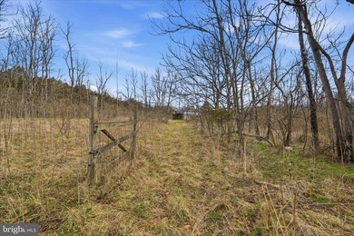 Hunt! Fish! Build! Rent! Develop! Divide! Homestead! Yes, the - photo 18
