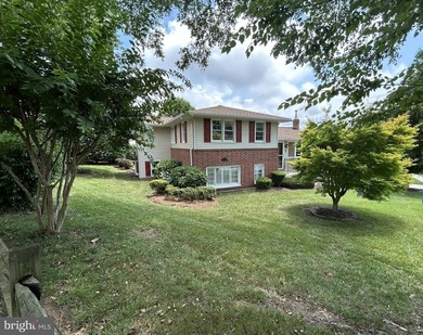Beautifully renovated split-level home offering a move-in-ready - photo 2