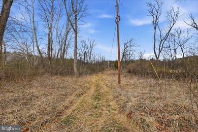 Hunt! Fish! Build! Rent! Develop! Divide! Homestead! Yes, the - photo 25