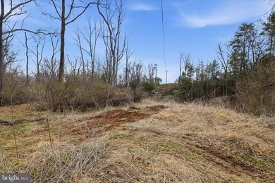 Hunt! Fish! Build! Rent! Develop! Divide! Homestead! Yes, the - photo 26