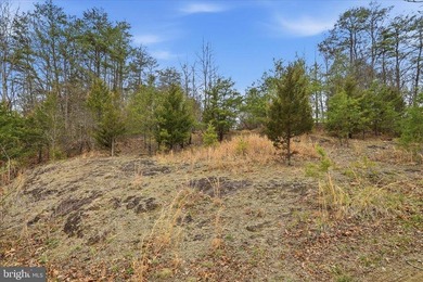 Hunt! Fish! Build! Rent! Develop! Divide! Homestead! Yes, the - photo 27