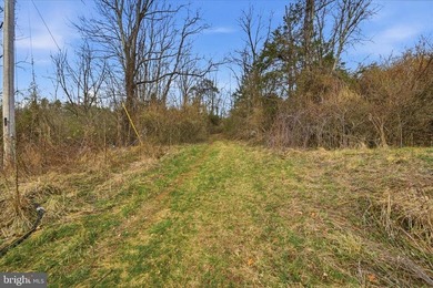 Hunt! Fish! Build! Rent! Develop! Divide! Homestead! Yes, the - photo 28