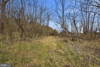 Hunt! Fish! Build! Rent! Develop! Divide! Homestead! Yes, the - photo 30