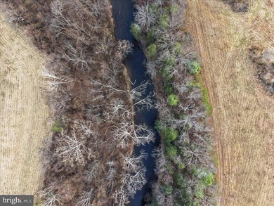 Hunt! Fish! Build! Rent! Develop! Divide! Homestead! Yes, the - photo 33