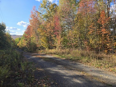 3.75 acres with power located in a very scenic area near golf - photo 3