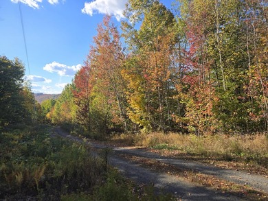 3.75 acres with power located in a very scenic area near golf - photo 4