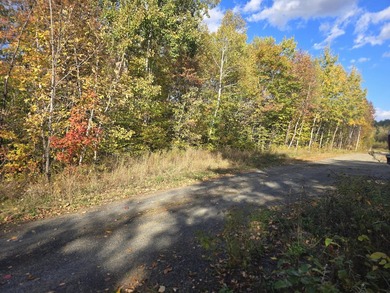 3.75 acres with power located in a very scenic area near golf - photo 5