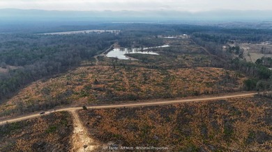 This 108+/- acre hunting and recreational property, located just - photo 3