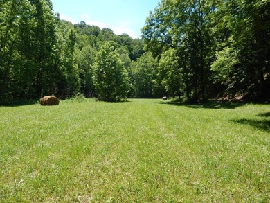 This old 1900's farm house will take you back in time and you'll - photo 46