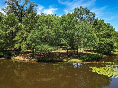 Experience peaceful waterfront living at this beautifully - photo 6