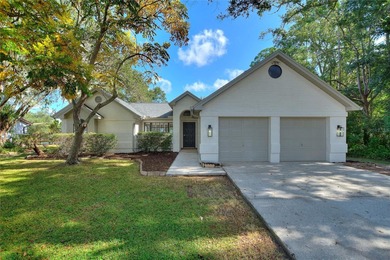 (private lake, pond, creek) Home Sale Pending in Lutz Florida