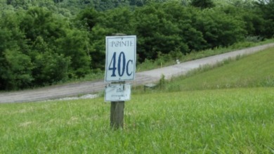 0.51 AC WITH YEAR AROUND DALE HOLLOW LAKE & MOUNTAIN VIEWS - photo 2