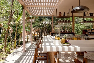 Luxury Garden Living at AFLORA Tulum

Discover this 3-bedroom - photo 47
