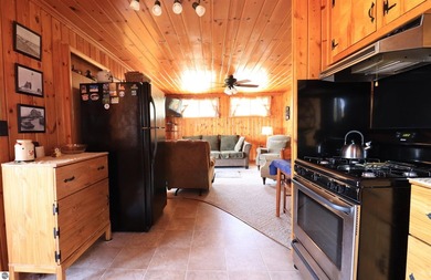 Beautifully remodeled retreat on all-sports Big Island Lake near - photo 14