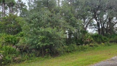 Lake Weohyakapka Lot For Sale in Indian Lake Estates Florida