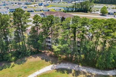 Lender Owned! Welcome to the desirable Tullamore Lakes - photo 39