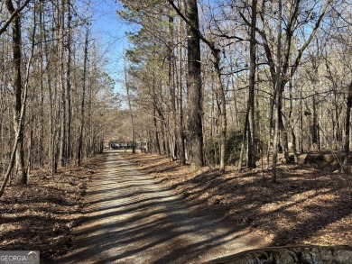 Lake Home For Sale in Sparta, Georgia