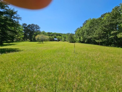 Toledo Bend Reservoir Acreage For Sale in Many Louisiana