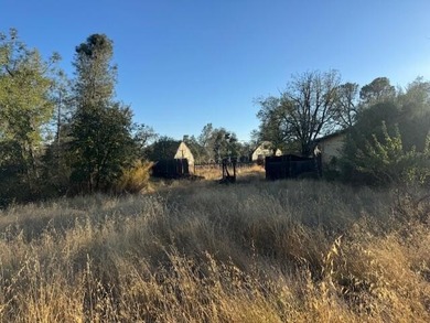 Beautiful 2.5 acres with a older 3 bed 2 bath MFH fixer - upper - photo 14