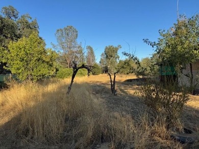Beautiful 2.5 acres with a older 3 bed 2 bath MFH fixer - upper - photo 15