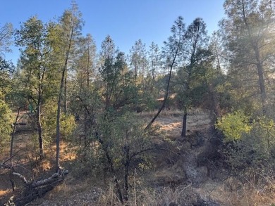 Beautiful 2.5 acres with a older 3 bed 2 bath MFH fixer - upper - photo 17