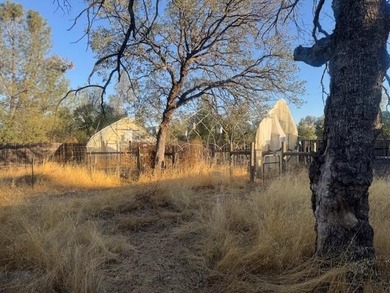 Beautiful 2.5 acres with a older 3 bed 2 bath MFH fixer - upper - photo 18