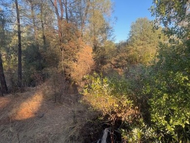 Beautiful 2.5 acres with a older 3 bed 2 bath MFH fixer - upper - photo 19
