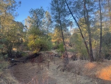 Beautiful 2.5 acres with a older 3 bed 2 bath MFH fixer - upper - photo 20