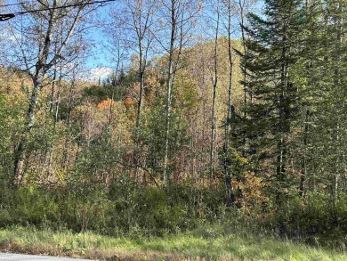 (private lake, pond, creek) Acreage For Sale in Corinth Vermont