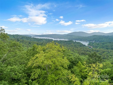 Lake Toxaway Acreage For Sale in Lake Toxaway North Carolina