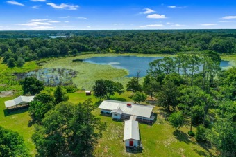 (private lake) Home For Sale in Crescent City Florida