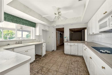 A Once in a Lifetime Waterfront Opportunity Near the Boca Grande - photo 13