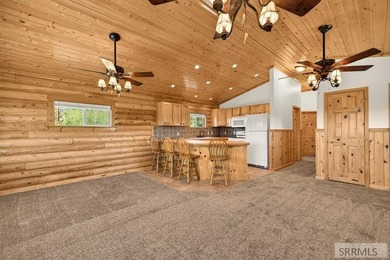 A rare opportunity to own one of Island Park's premier legacy - photo 24