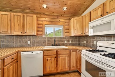 A rare opportunity to own one of Island Park's premier legacy - photo 25
