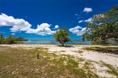 A Once in a Lifetime Waterfront Opportunity Near the Boca Grande - photo 26