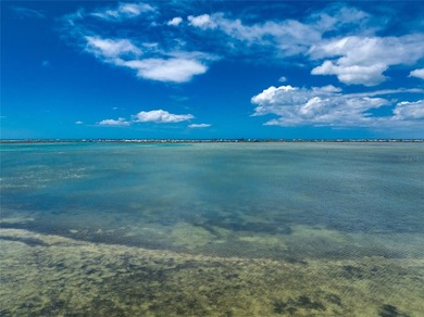A Once in a Lifetime Waterfront Opportunity Near the Boca Grande - photo 28