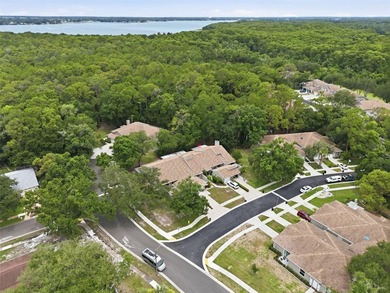 Welcome to Brooker Creek Villas, where maintenance-free living - photo 35