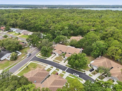 Welcome to Brooker Creek Villas, where maintenance-free living - photo 36