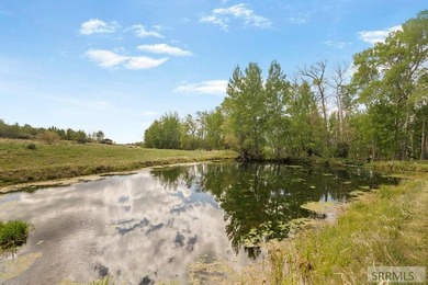 A rare opportunity to own one of Island Park's premier legacy - photo 47