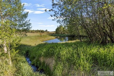 A rare opportunity to own one of Island Park's premier legacy - photo 49