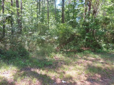Lake Marion Acreage For Sale in Summerton South Carolina