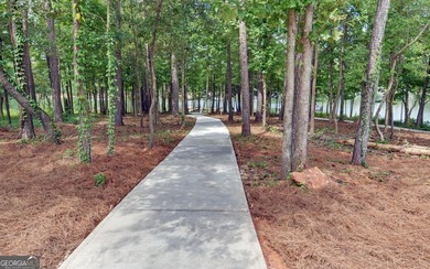 Lake Hartwell New Construction Townhome - Short-Term Rental - photo 46