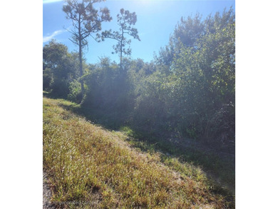 Peace River Lot For Sale in Punta Gorda Florida