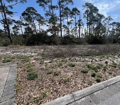 Perfect lot near the beach and surrounded by the coastal - photo 1