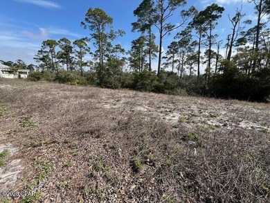 Perfect lot near the beach and surrounded by the coastal - photo 5