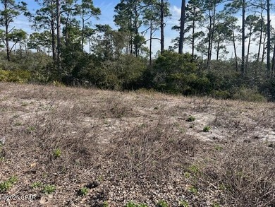 Perfect lot near the beach and surrounded by the coastal - photo 6