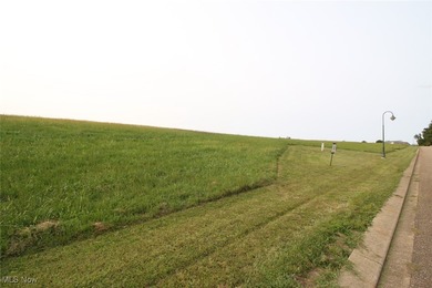 Dillon Lake Lot Sale Pending in Zanesville Ohio