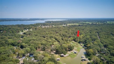 Cedar Creek Lake Lot For Sale in Payne Springs Texas
