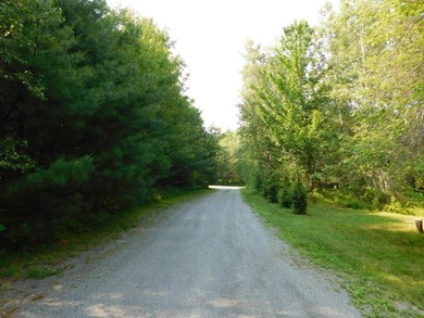 Custom built Cape that's hidden on 5.56 acres! Long driveway for - photo 8
