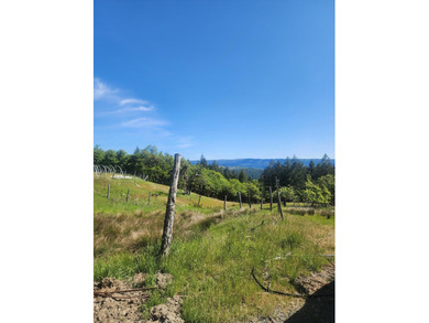 This beauty has it all, private 40 acres with gorgeous views of - photo 3